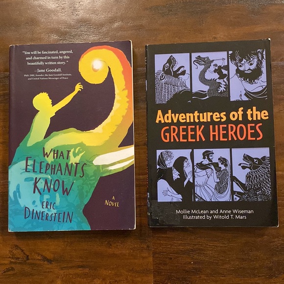 11 Teen YA Chapter Book Bundle | Reading Level 4-5 | Ages 10+ - Picture 9 of 13